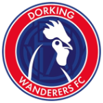 Dorking Wanderers logo